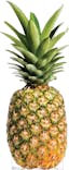 pineappleonpizza avatar