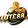 TDTC avatar