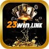 23winlink avatar