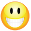 TheSmilingBraniac avatar