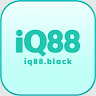 iq88black avatar