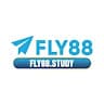fly88study avatar