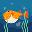 Coug4r avatar