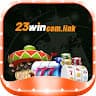 23wincomlink avatar
