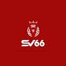 SV66OneCom avatar