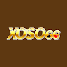 xoso66dog avatar