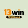 13winnorg avatar