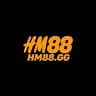 hm88gg avatar