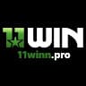 11winnpro avatar