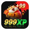 999xpnetbr avatar