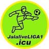 jalaliveliga1icu avatar