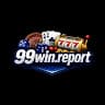 99WinReport avatar