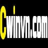 cwinvncom avatar
