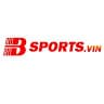 BSPORTSVIN avatar