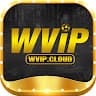wvipcloud avatar