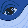 MurliDhruw avatar