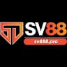 sv888pro avatar