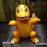 Chomik avatar