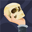 Ostain avatar
