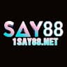 1say88net1 avatar