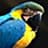 JohnFeiler avatar