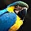 JohnFeiler avatar