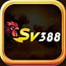 sv388kim avatar