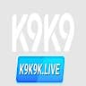 k9k9klive avatar