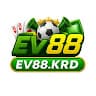EV88tPpR avatar
