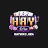 haywin2org avatar