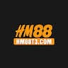 hm88t3com avatar