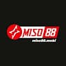 miso88mobi avatar