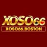 xoso66boston avatar