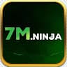 7Mninja avatar