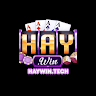 haywintech1 avatar