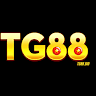 tg88_bid avatar