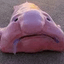 LeNamPhong avatar