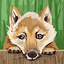 Andyed45 avatar