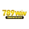789wintopsite avatar