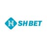 shbet0team avatar