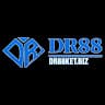 DR88 avatar
