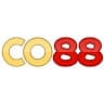 co88cfd avatar