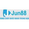 jun88hockey avatar