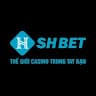 shbethealth avatar