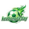 keobongdaday avatar