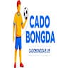 cadobongda6us avatar