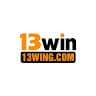 13wingcom avatar