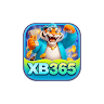 xb365net avatar
