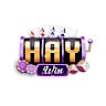 1haywinvip avatar