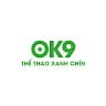 ok99design avatar